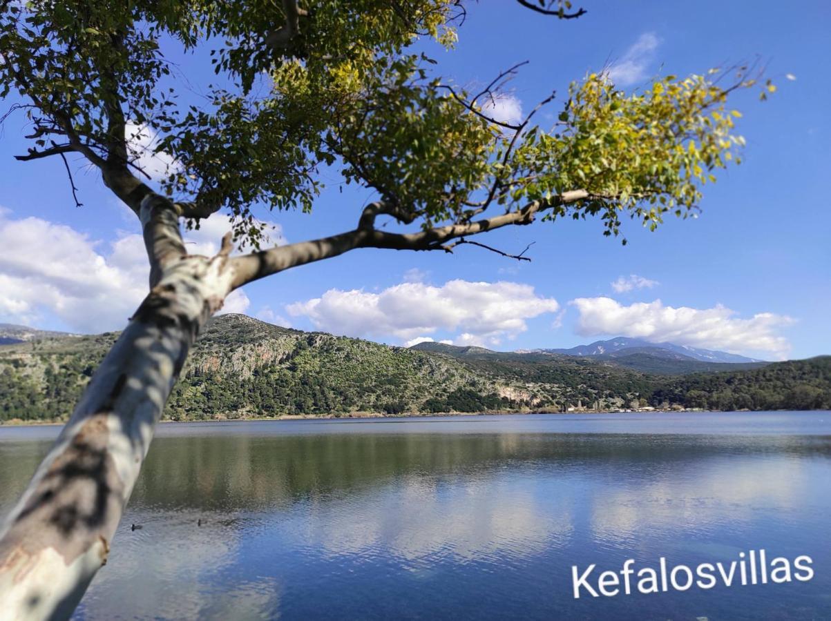 Kefalos Studios Argostoli Dış mekan fotoğraf